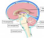 Como analisar o líquido cefalorraquidiano para meningite e quais indicadores o líquido cefalorraquidiano deve ter