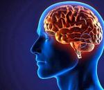Тархины эмгэгийн шалтгаан, шинж тэмдэг, оношлогоо, эмчилгээ