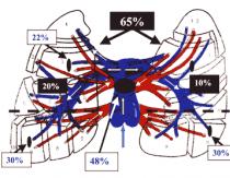 Tromboembolizmus pľúcnej tepny (tela) Klinická klasifikácia tela