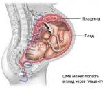 Опасность заражения цитомегаловирусом во время беременности