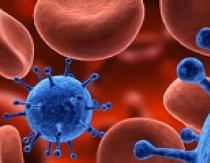 Falsch positive falsch negative Tests auf HIV
