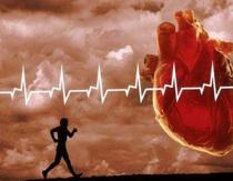 Exercício cardíaco: fortalecimento dos vasos sanguíneos